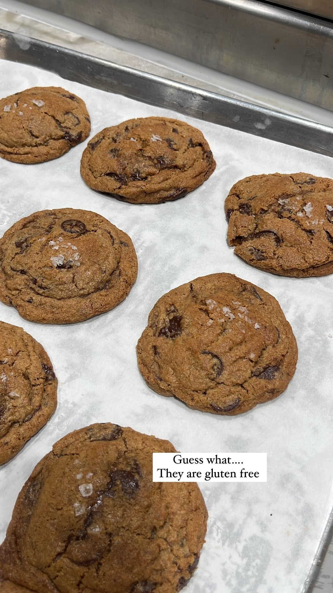 Gluten free chocolate chip cookie